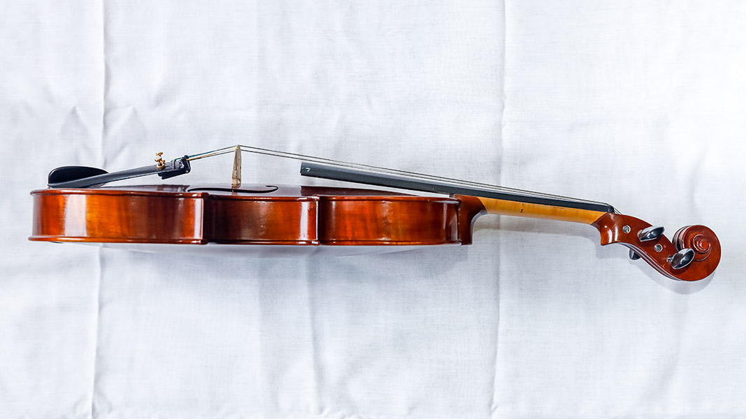 Geigenbaumeister & Musiker Nicolas Violin aus Eberswalde