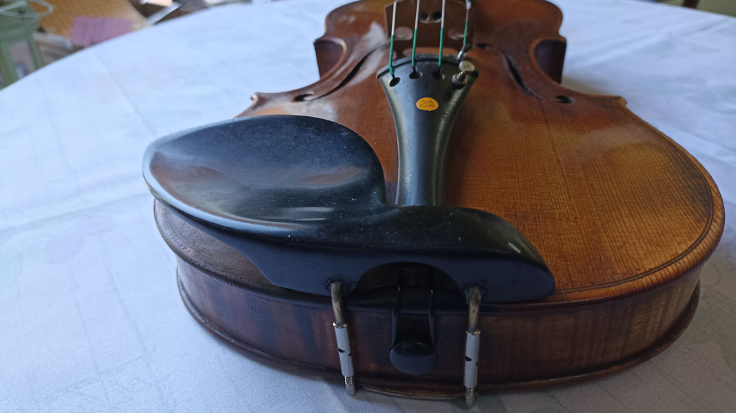 Geigenbauer & Musiker Nicolas Violin aus Eberswalde