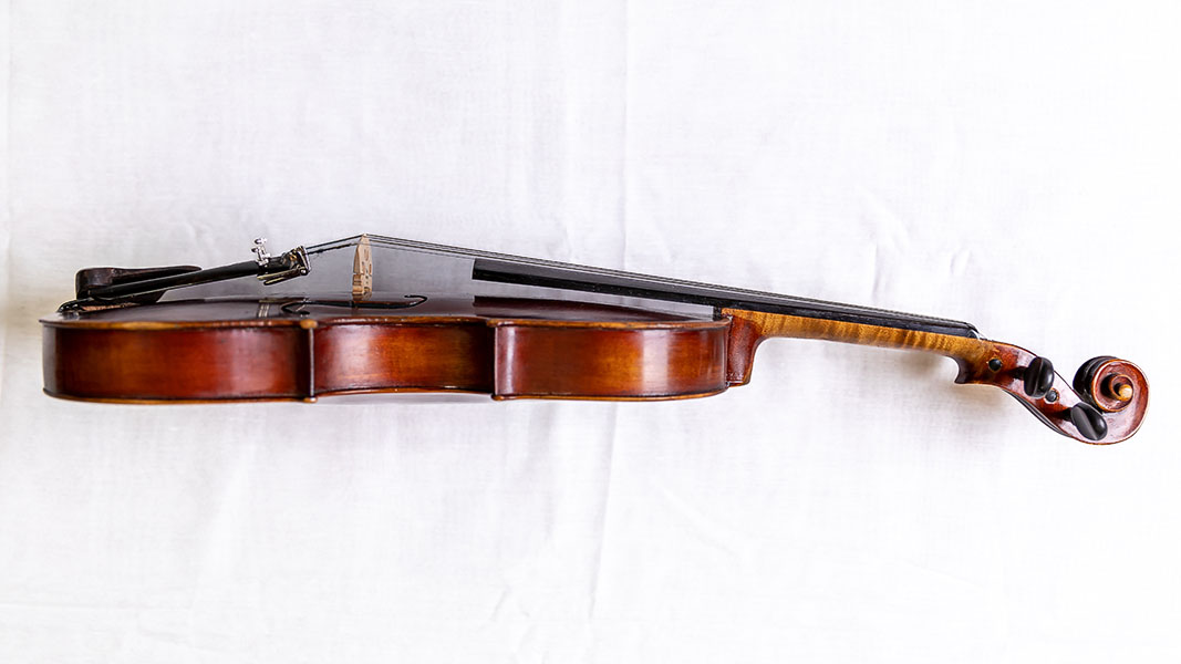 Geigenbaumeister & Musiker Nicolas Violin aus Eberswalde